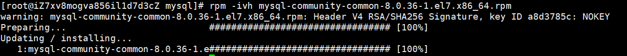 image-20240405133100212
