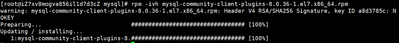 image-20240405133358713