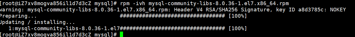 image-20240405133809022