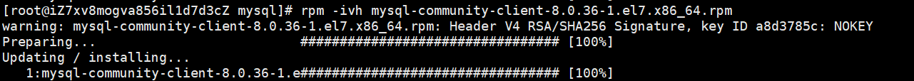 image-20240405133936898