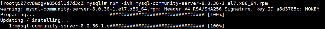 image-20240405134919854