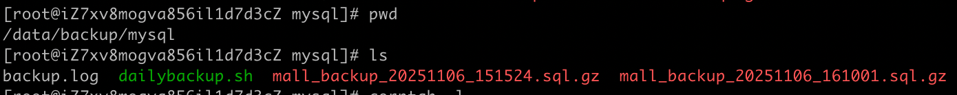 image-20251106162037215