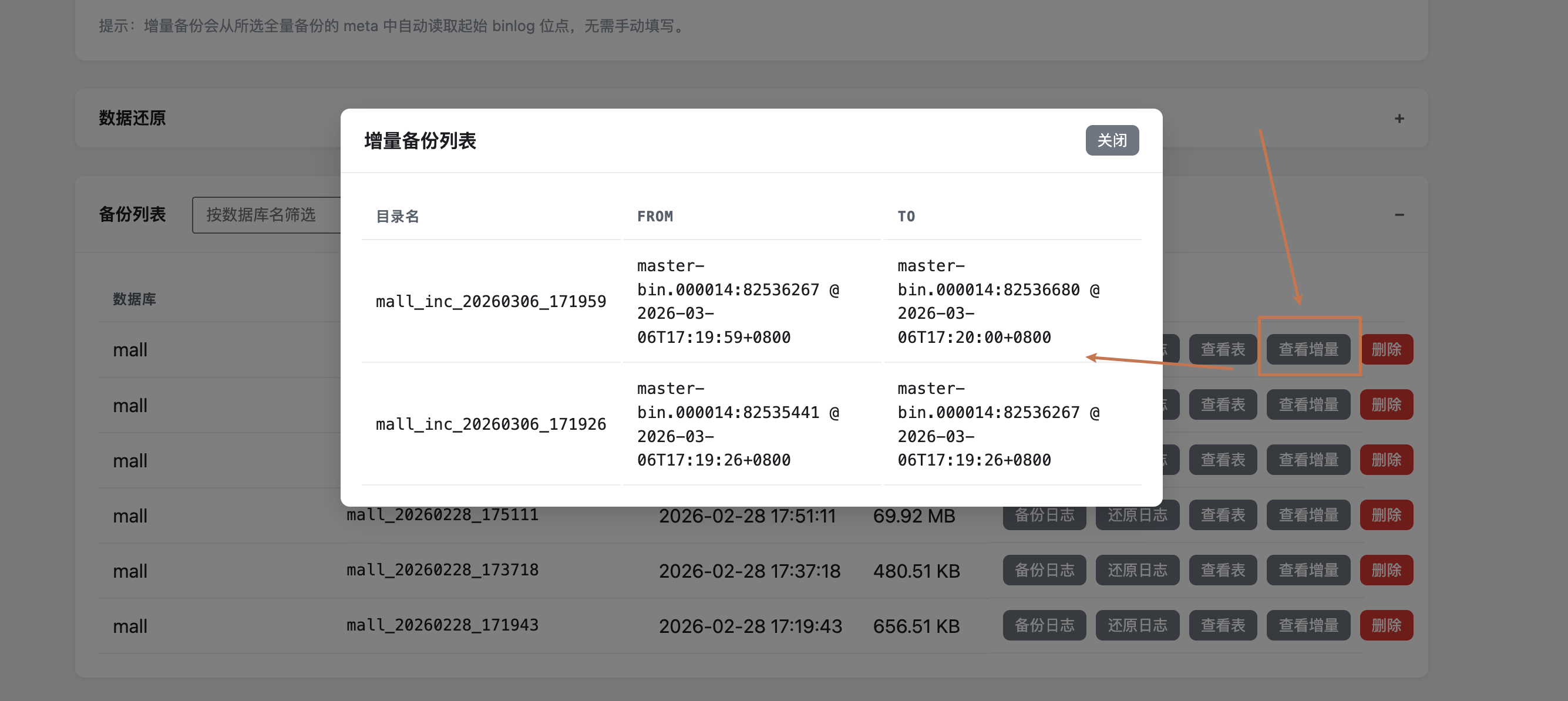 image-20260306195254125