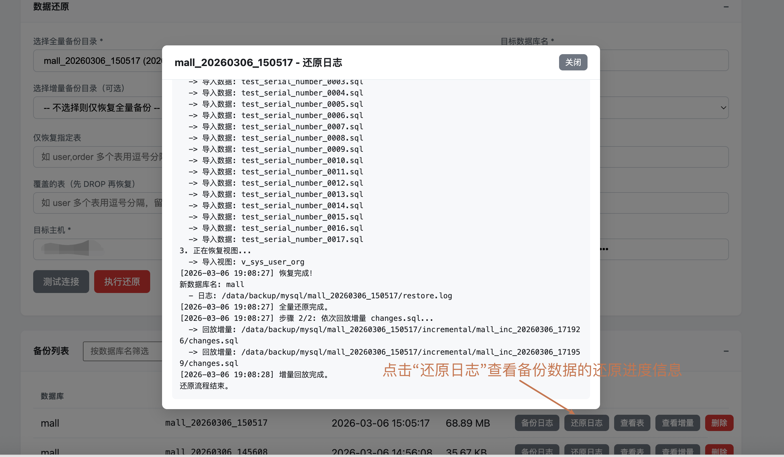 image-20260306195829926